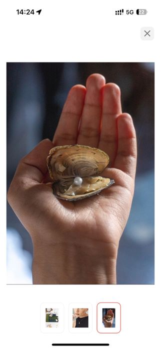 Жемчуг в ракушке