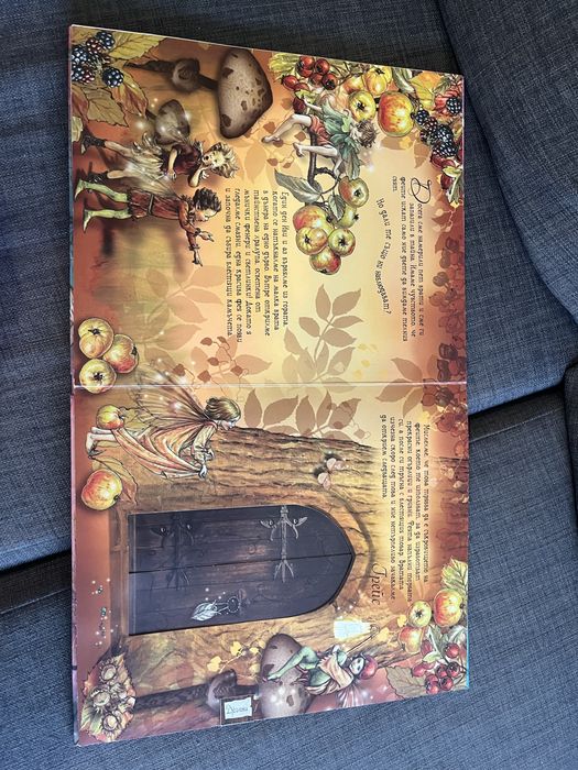 Феите на цветята, Вълшебни врати, Инфо ДАР