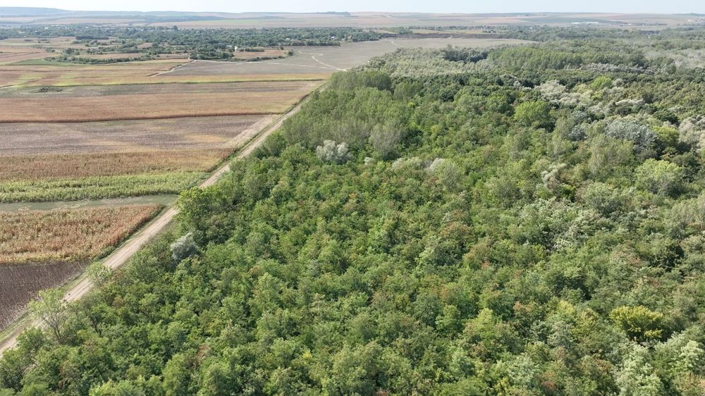 Vand padure trup compact 170 ha