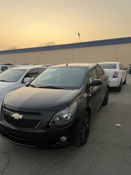 Cobalt midnight 2025 skidka!!