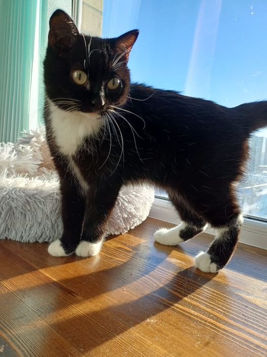 Ласковая и обаятельная мадмуазель с гарантией качества