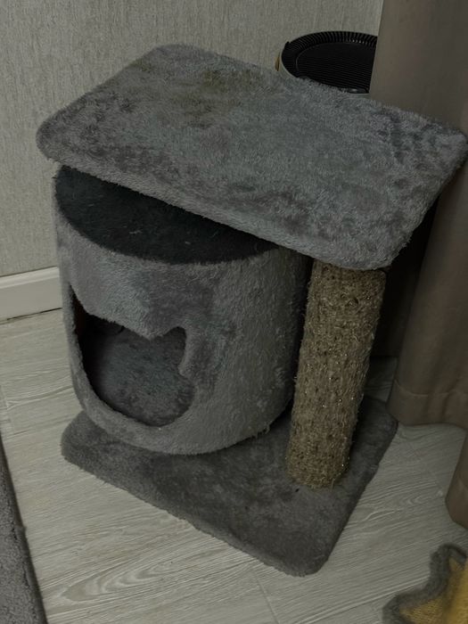 Dom dlya koshki pochti noviy