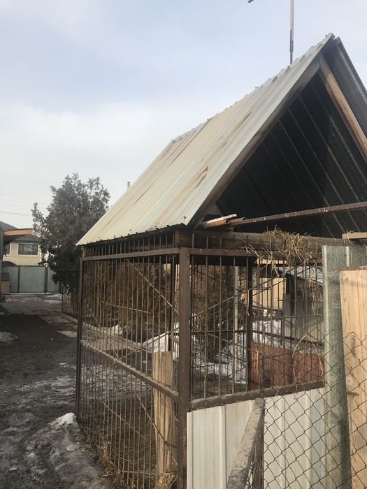 Здравствуйте, продам вольер .