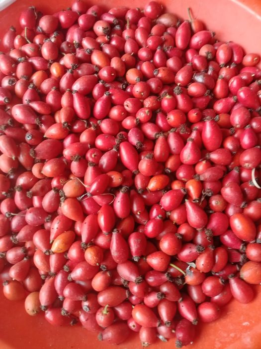 Vind macies sí pasta de macies