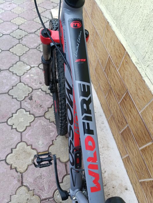 Mosso 29 цола    .