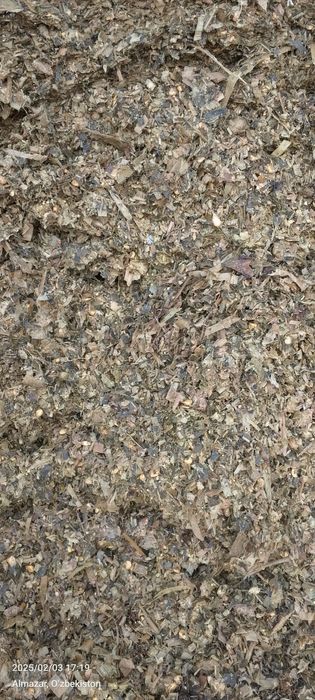 Силос сотилади донли майда орилган