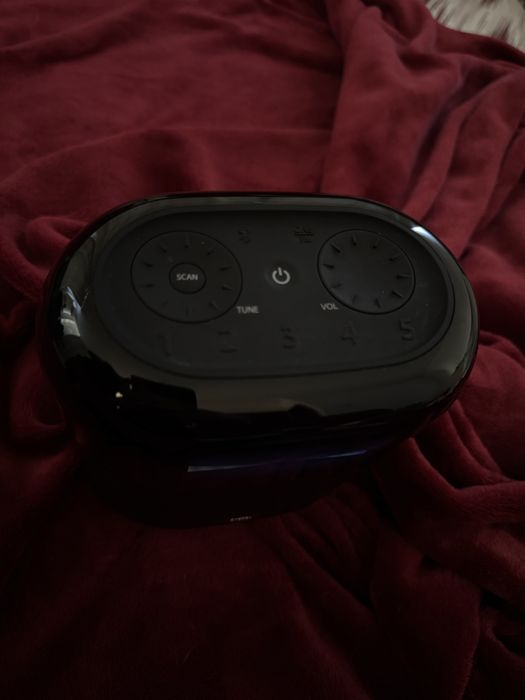Boxă/Radio portabil JBL Tuner XL, Bluetooth, DAB/FM, Rezistent la apa IPX7, Negru