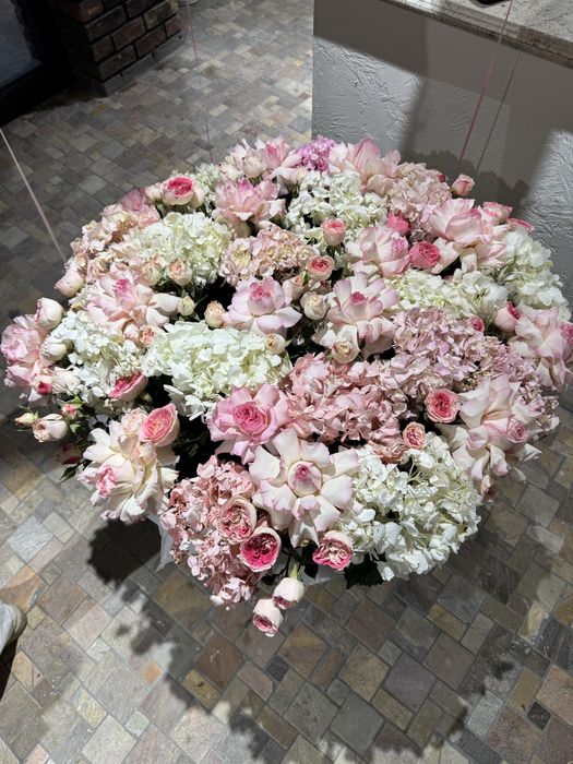 Прдаю цветы срочно