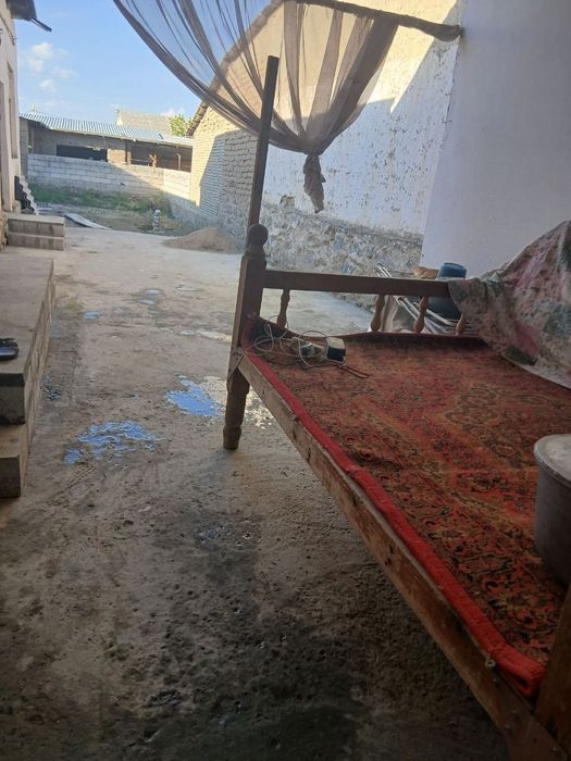 Narpay Chorvador nixol 61