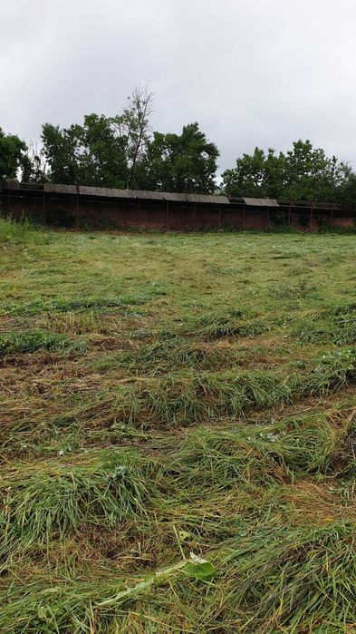 Teren de vanzare intravilan situat in Saschiz la Drumul E60,5,5 € mp.