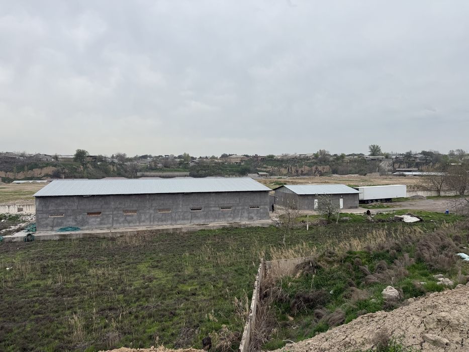 Продаю в г. Янгийуле (Арча куча)территорию 76  соток-От АРК-Булок 13км