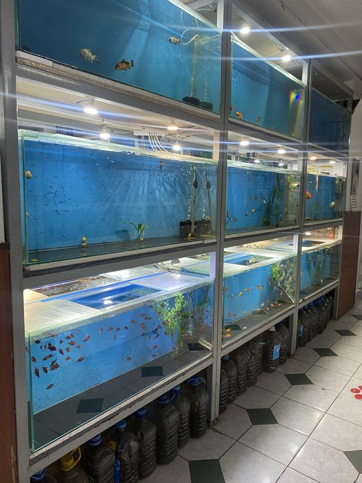 Продаю отдел аквариумистики