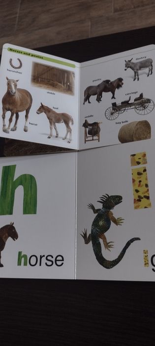 Carti pentru copii in limba engleza