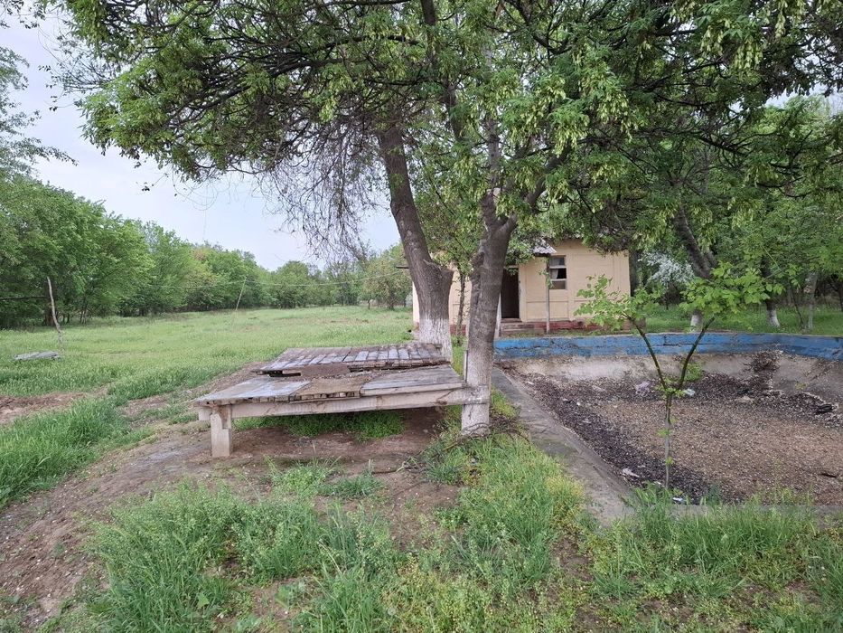 Oqoltin tumanida sotuvdagi yer