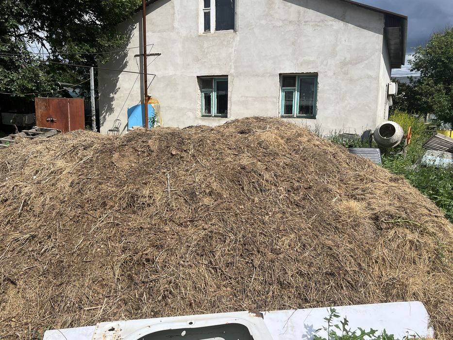 Отдам даром сено /сено с новозом