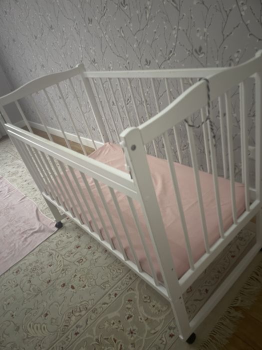 Монеж очень жаксы жагдайда