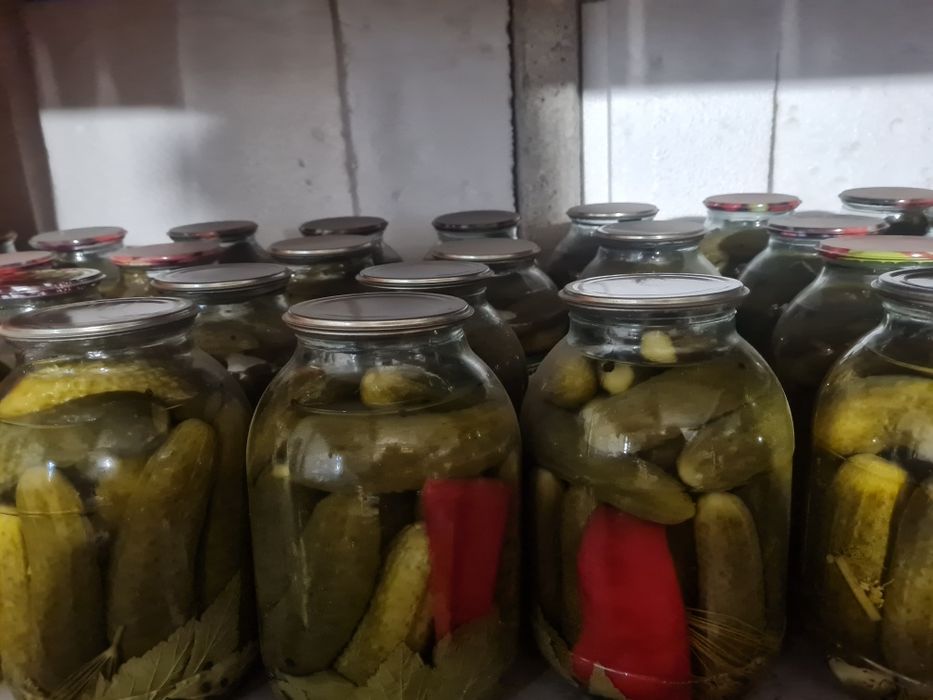 Огурцы маринованные