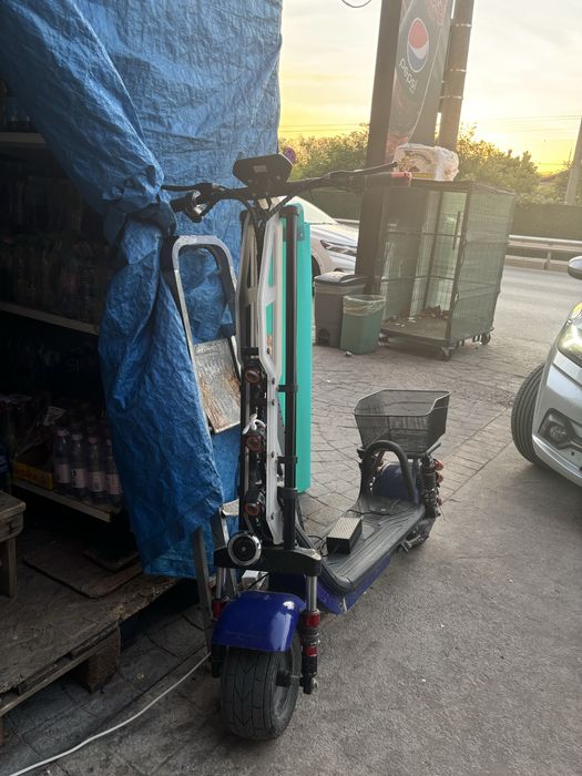 Trotineta Electrica 30/h