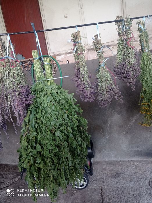 Продам банные веники