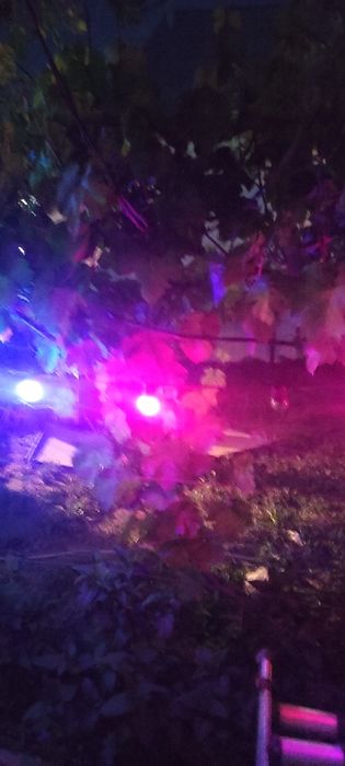 Гирлянды разноцветные