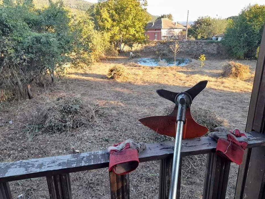 Почистване на дворове и запустели терени в София – бързо и изгодно