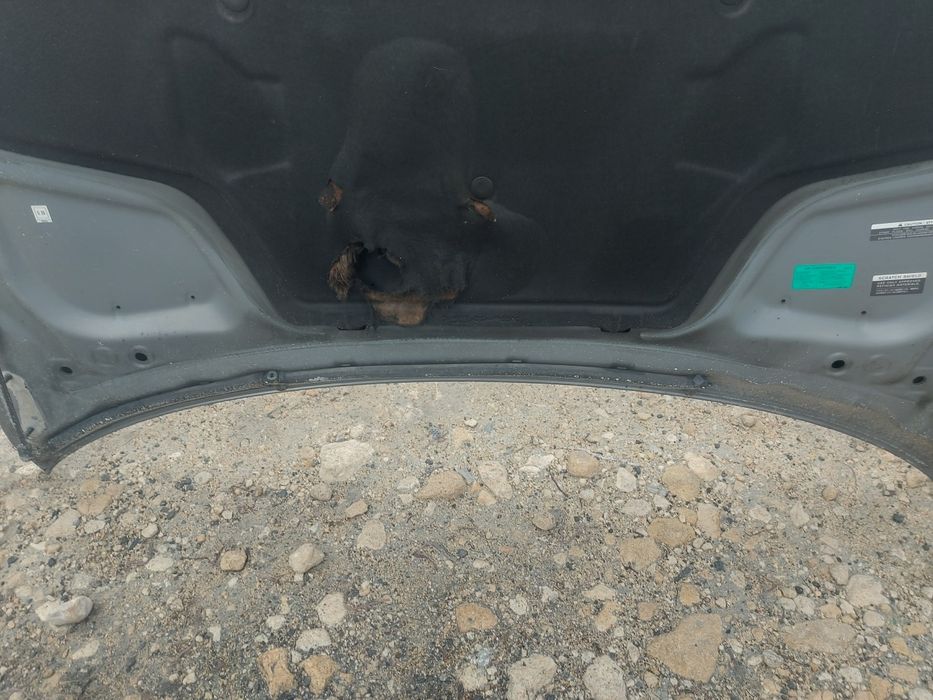 Оригинален преден Капак за Инфинити М 2011- 2013