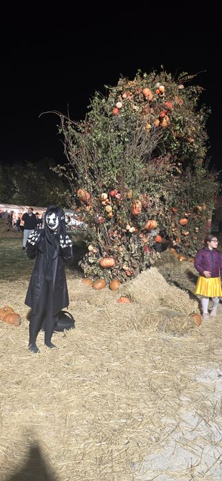 Organizare Petreceri tematice,aniversari,ateliere creative,evenimente