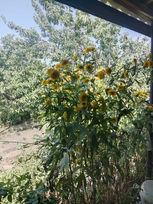 Срочно продается дом