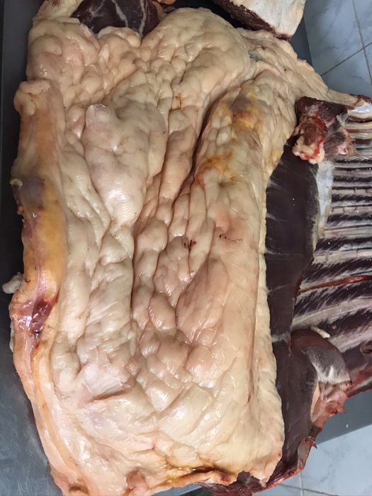 Соғым аяқтап, жіліктеп, тушамен