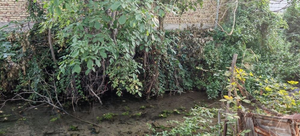 Продам срочно дачу на ташморе. Дача с бассейном на природе.