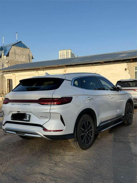 BYD chempion Full 605