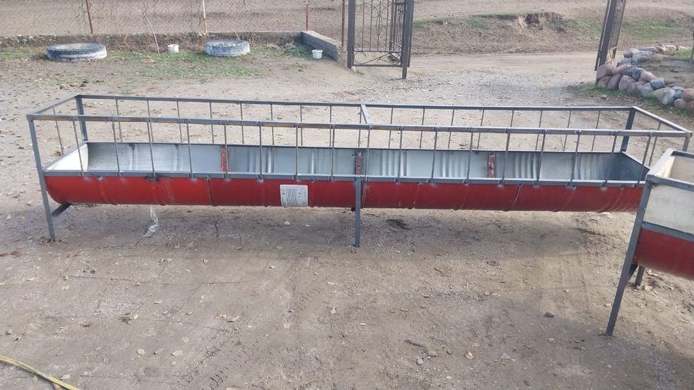 Астау науа ақыр қой