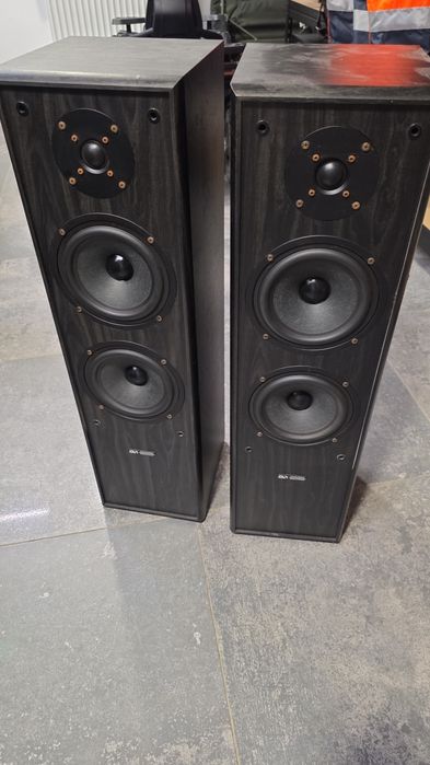 Vand / schimb doua boxe pasive