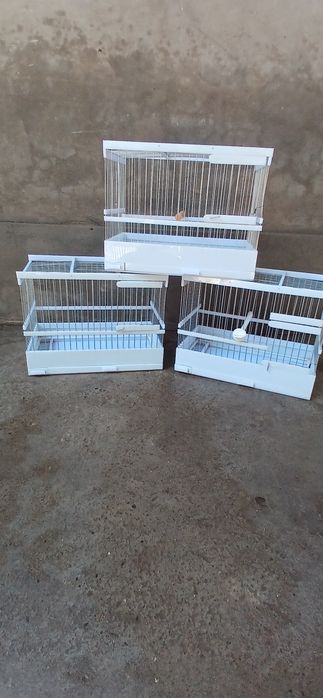 Qafas , qushlar uchun