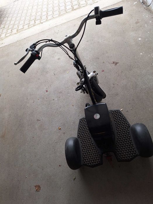 Триколка безупречна