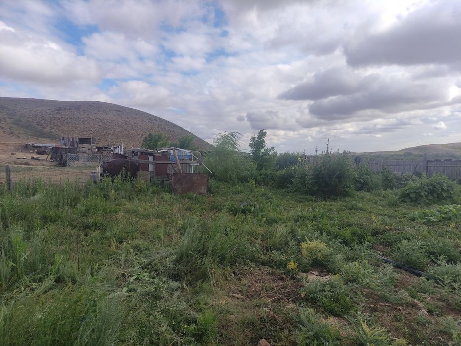 Ауыл шаруашылығы сатылады.