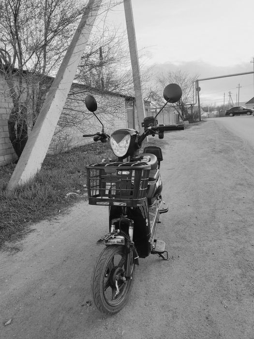 Модель сянчу сянчу