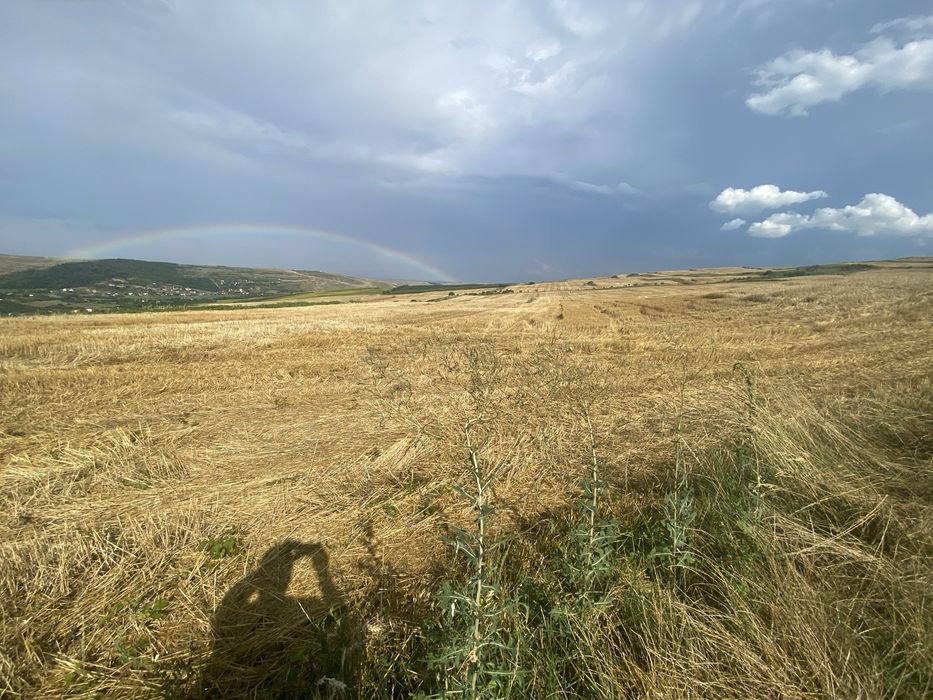 Vand teren extravilan 11600 m2In Cluj Campenesti
