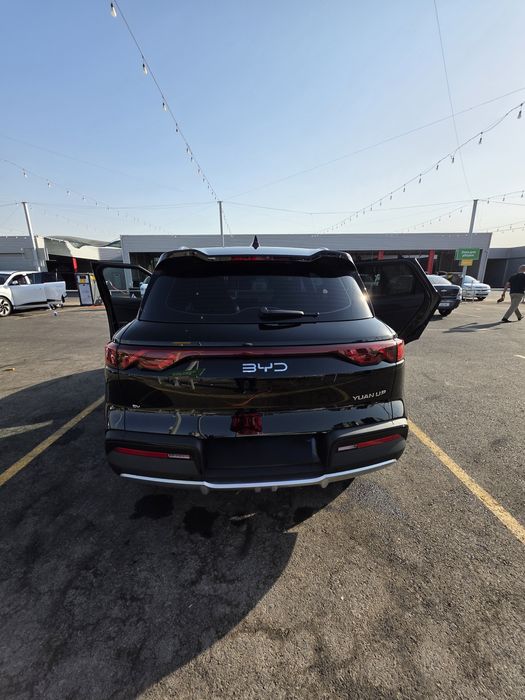 Other Yuan Up 2025 — 2