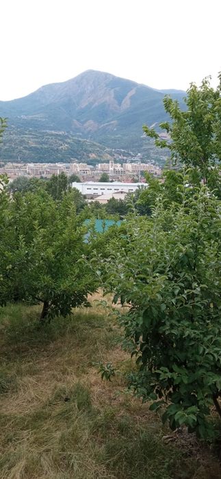 Дача сотилади Чорвоқда (Қапалда)