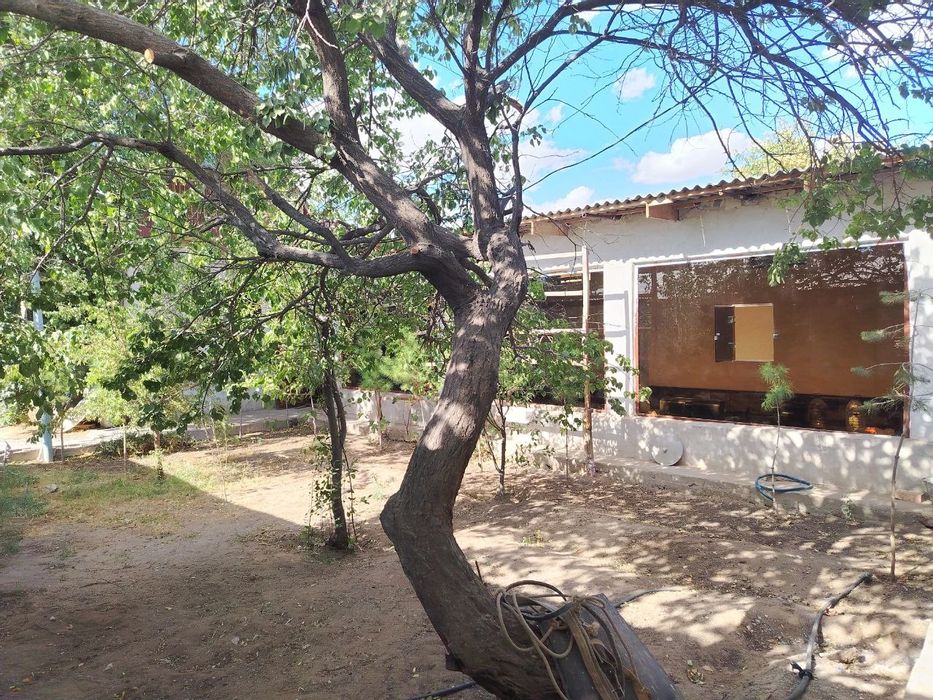 Дача сотилади Оазисда 10 соток