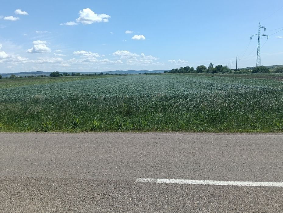 Teren de vanzare