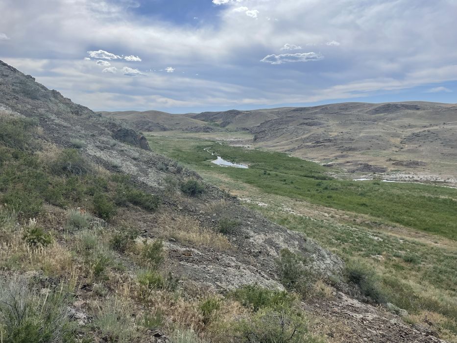 участок арендаға беремін 100га