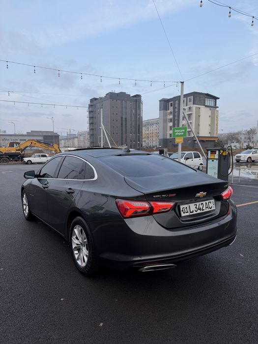 Malibu Premier  Rent Car Tashkent | Arzon narx | ideal xolat | 24/7