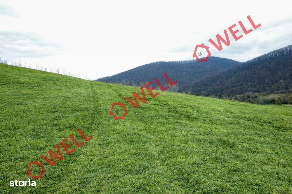 De vânzare teren extravilan între Olteni și Malnaș!