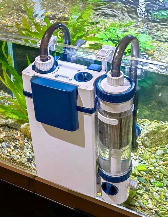 Akvarium baliqlar,filtrlar, korm hammasi arzon narxlarda AquaGear