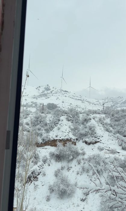 дача Чимгана/ Dacha chimyon amirsoy