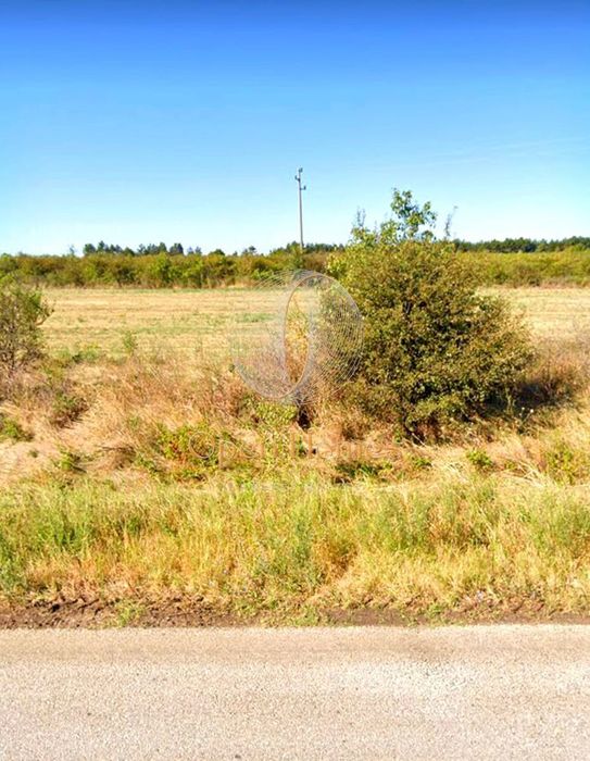 Парцел в Пловдив, област-с.Беловица