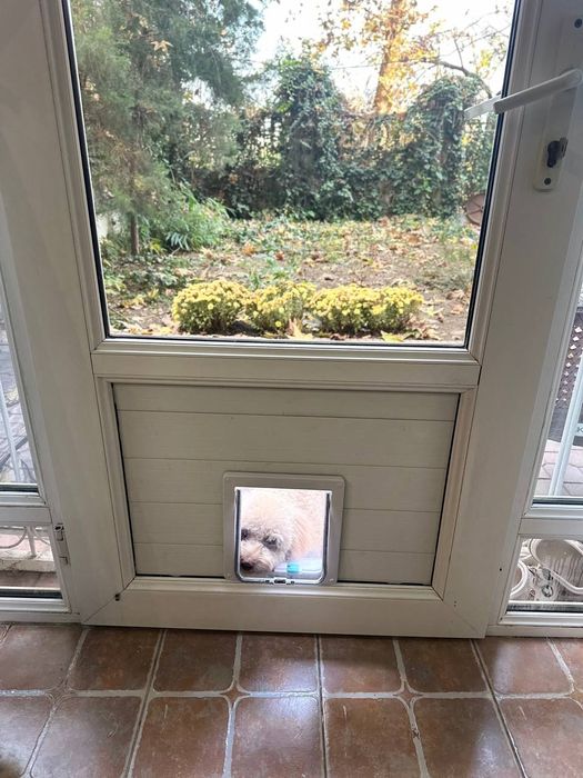 дверца окошко проход дверка вход люк в стену в дверь для кошек собак