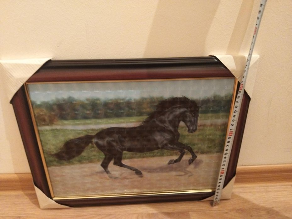 Картина про коней